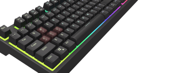 GENESIS Žaidimų klaviatūra THOR 150