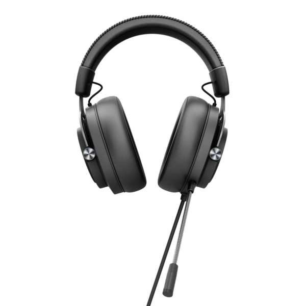 AOC Ausinės GH200